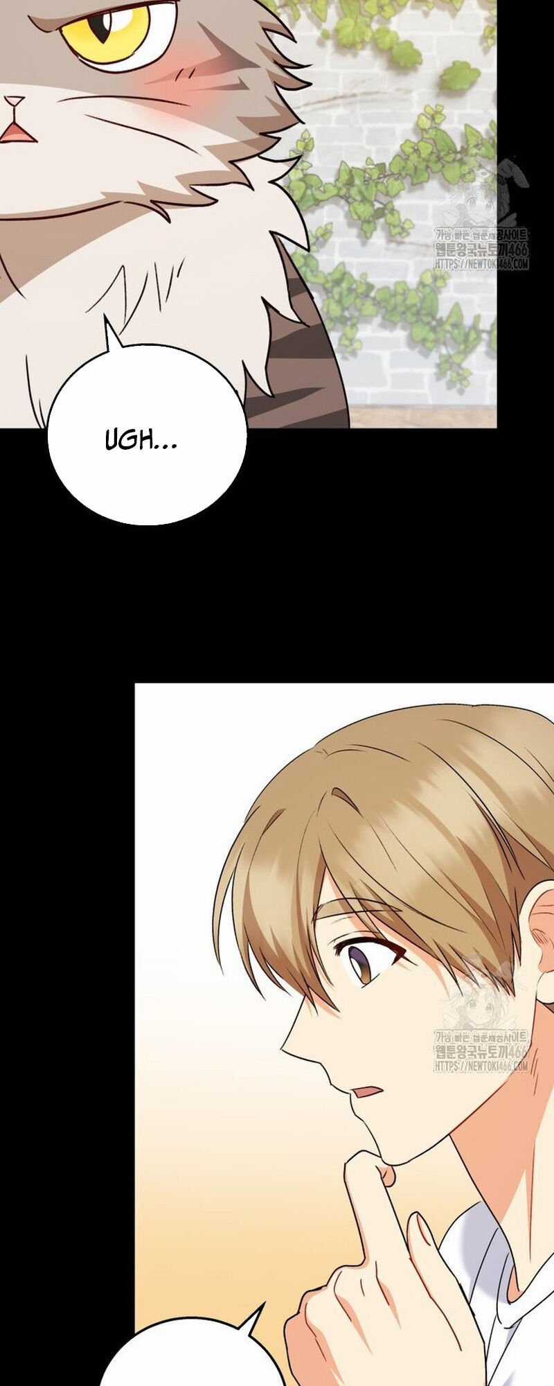 Xin Chào! Bác Sĩ Thú Y Chapter 77 trang 28