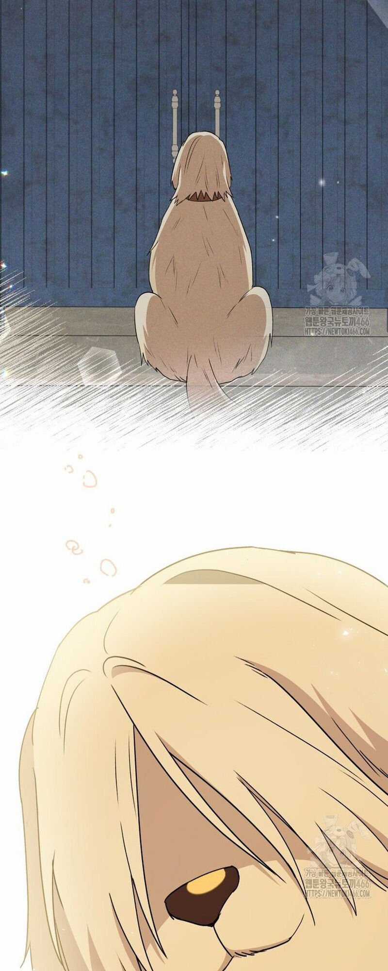 Xin Chào! Bác Sĩ Thú Y Chapter 77 trang 62