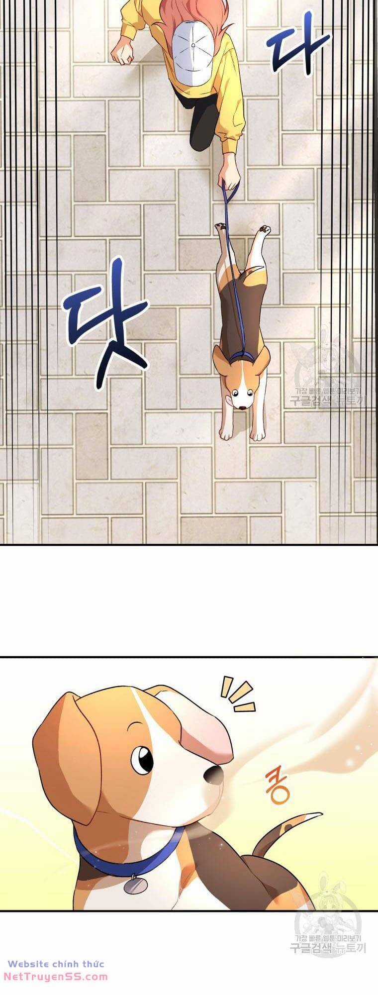 Xin Chào! Bác Sĩ Thú Y Chapter 9 trang 43