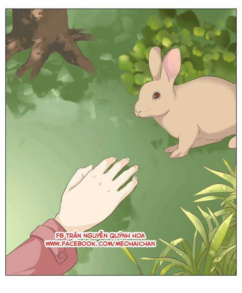 Xin Chào! Dân Nữ Chapter 29 trang 52