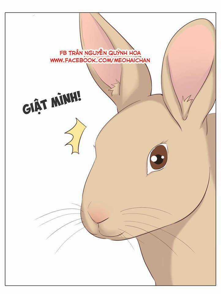 Xin Chào! Dân Nữ Chapter 29 trang 53