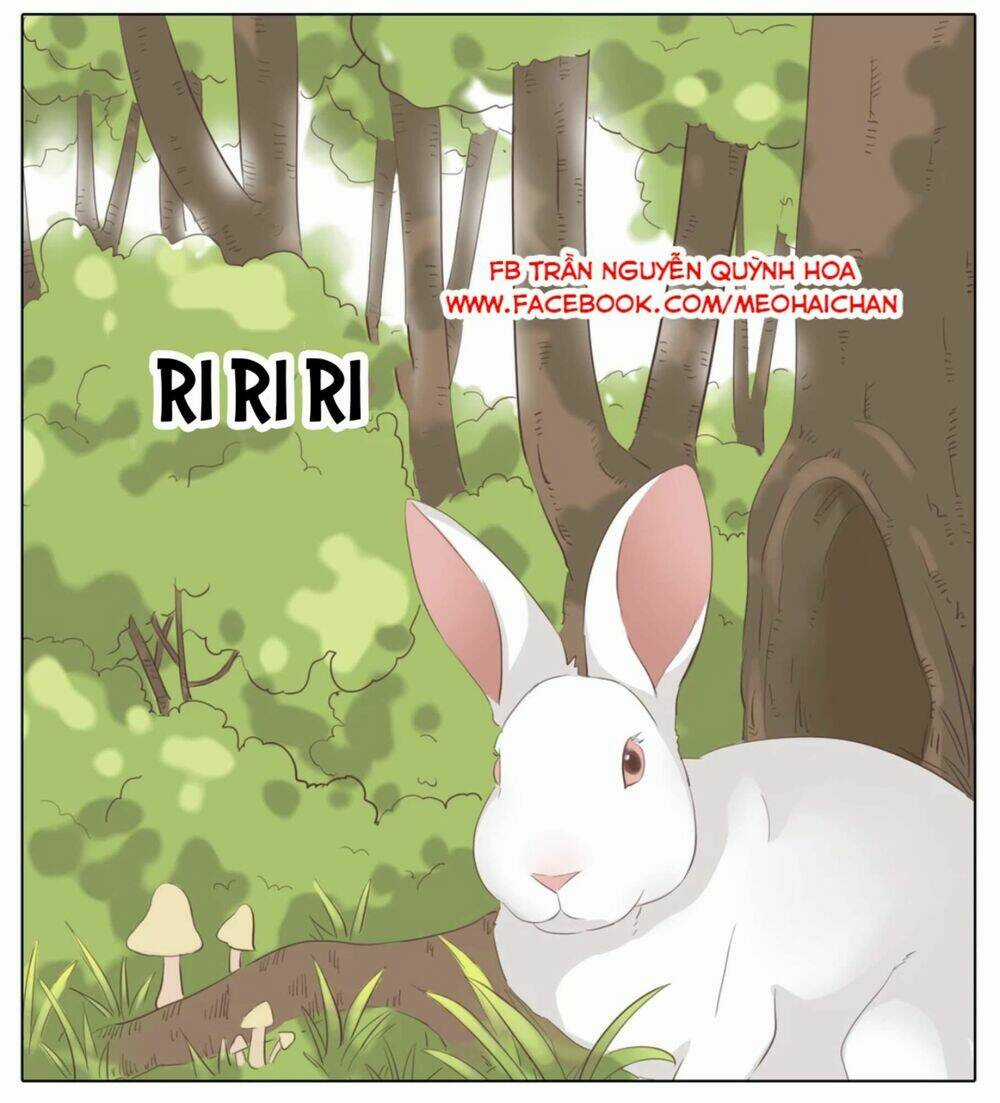 Xin Chào! Dân Nữ Chapter 31 trang 66