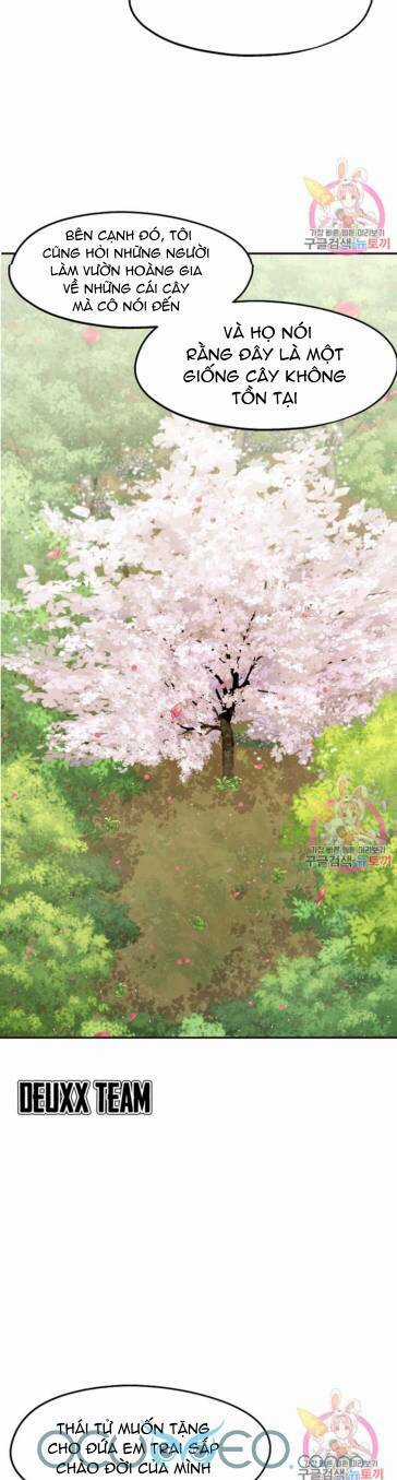 Xin Chào, Tôi Là Người Làm Vườn! Chapter 7 trang 13