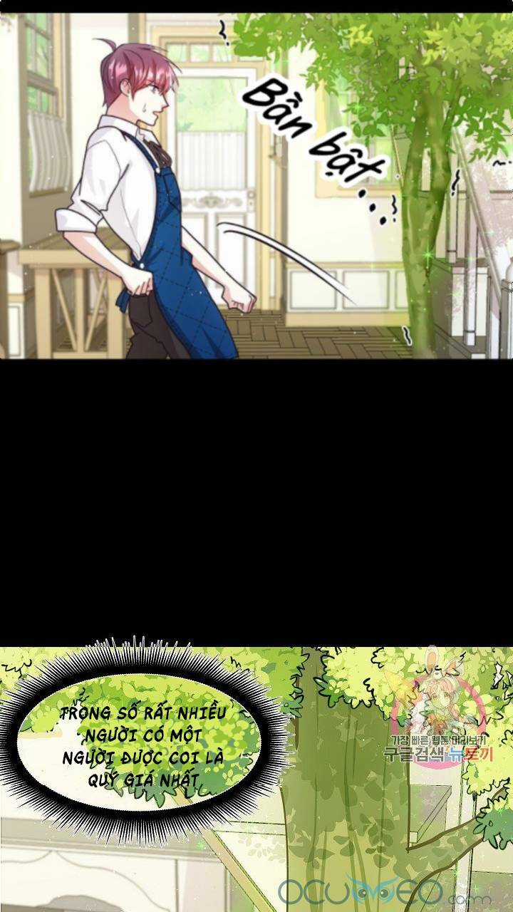 Xin Chào, Tôi Là Người Làm Vườn! Chapter 8 trang 15