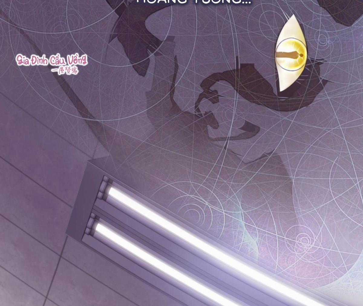 Xin Được Chỉ Giáo Chapter 1 trang 51