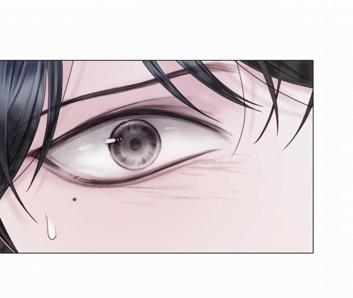 Xin Được Chỉ Giáo Chapter 11 trang 15