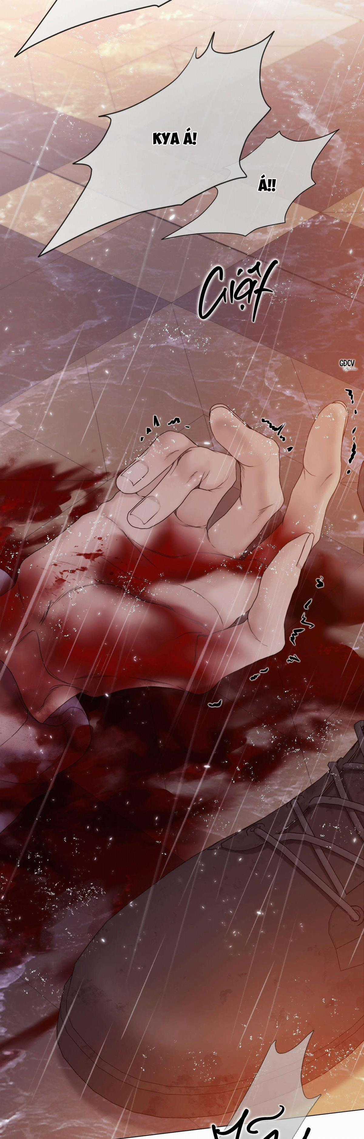 Xin Được Chỉ Giáo Chapter 43 trang 12