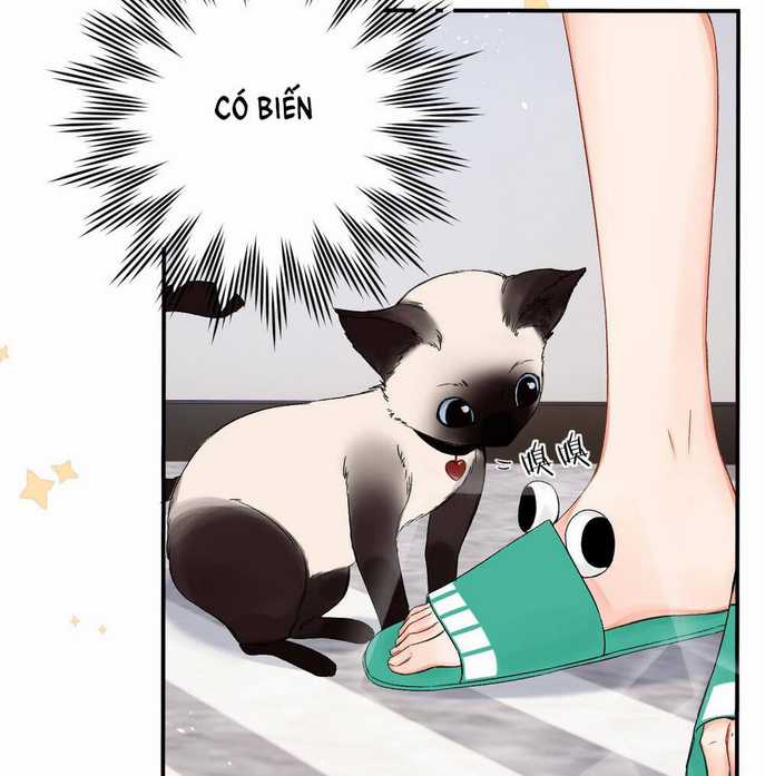 Xin Được Chỉ Giáo Chapter 5.1 trang 14