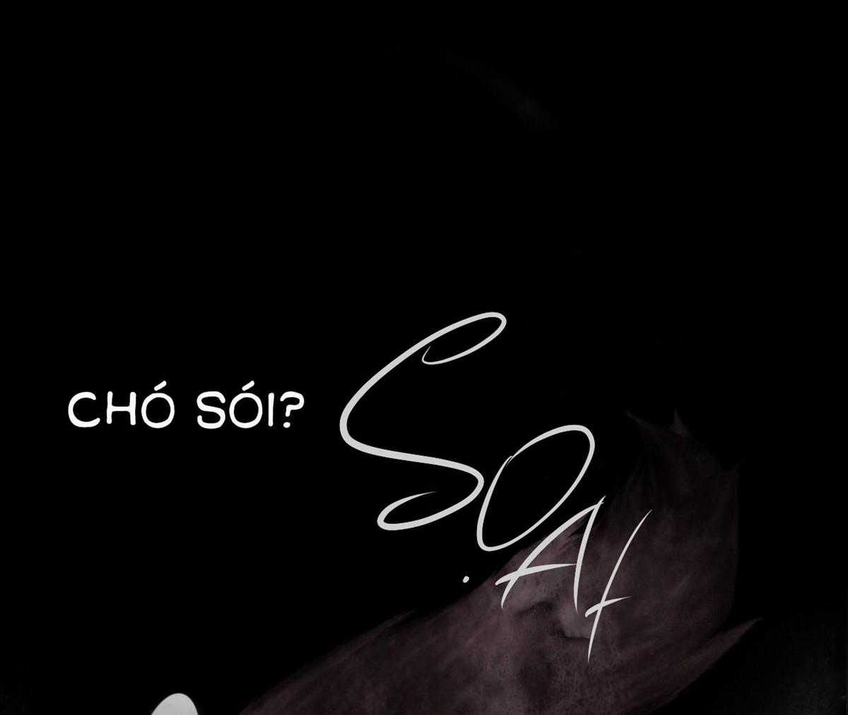 Xin Được Chỉ Giáo Chapter 6 trang 63