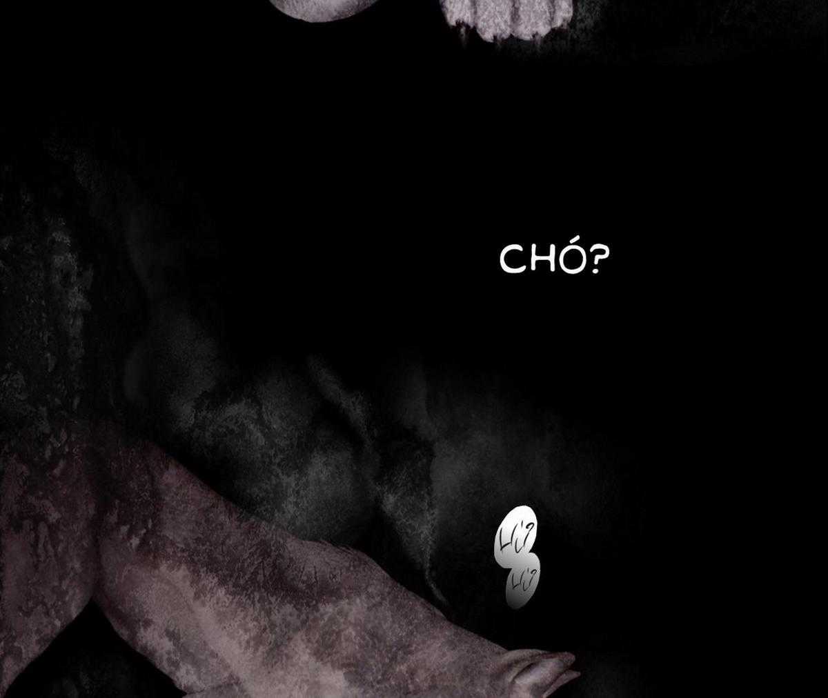 Xin Được Chỉ Giáo Chapter 6 trang 66