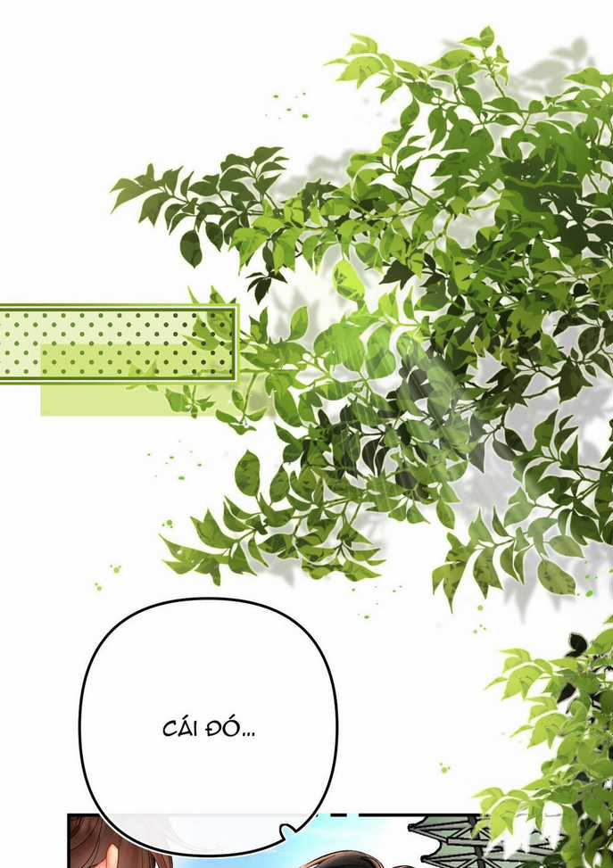 Xin Được Chỉ Giáo Chapter 7.1 trang 20