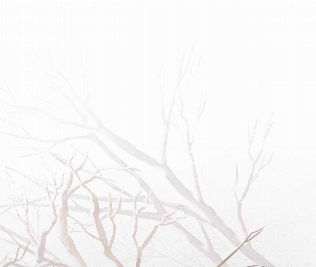 Xin Được Chỉ Giáo Chapter 7 trang 22