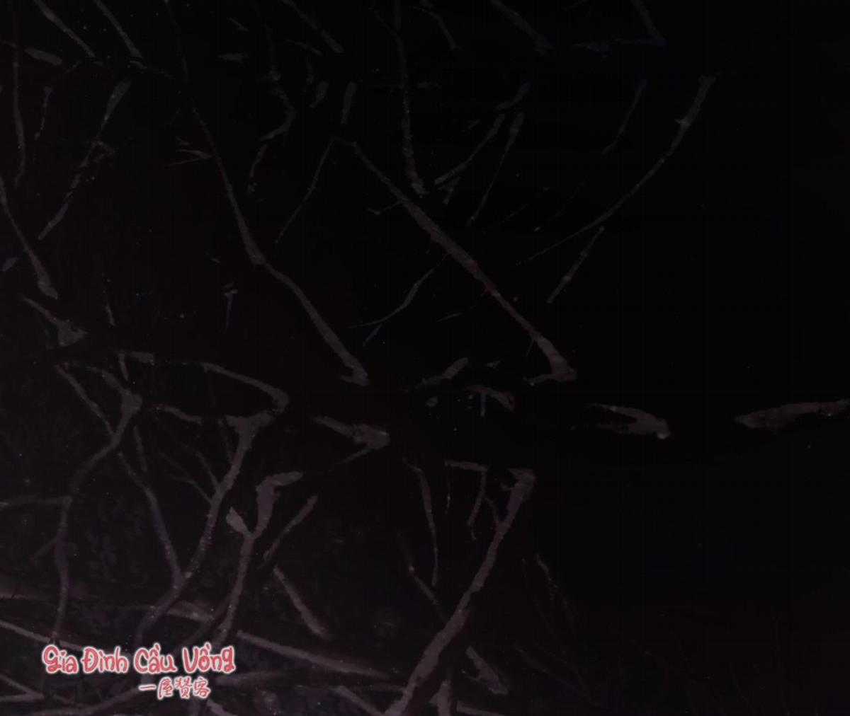 Xin Được Chỉ Giáo Chapter 7 trang 43