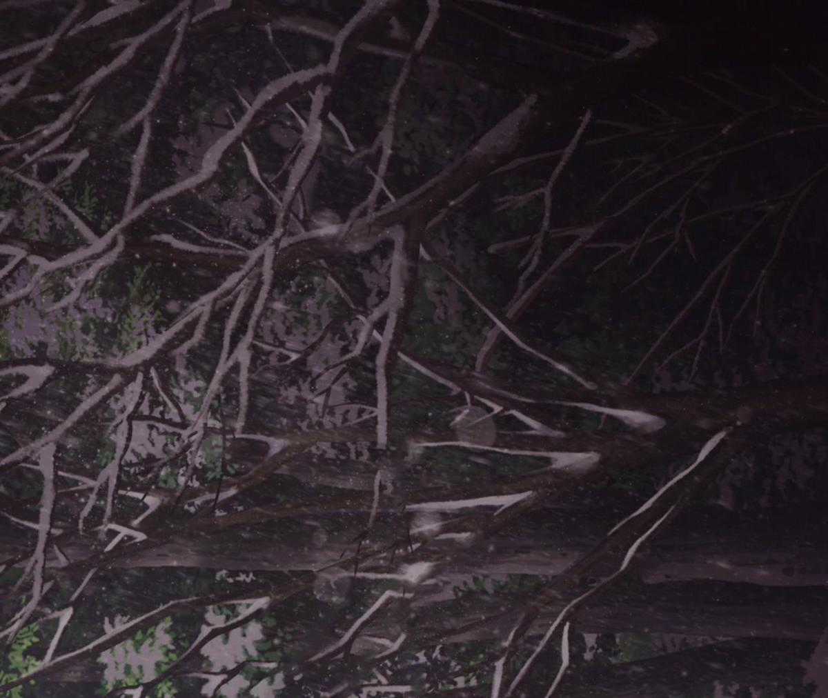 Xin Được Chỉ Giáo Chapter 7 trang 44