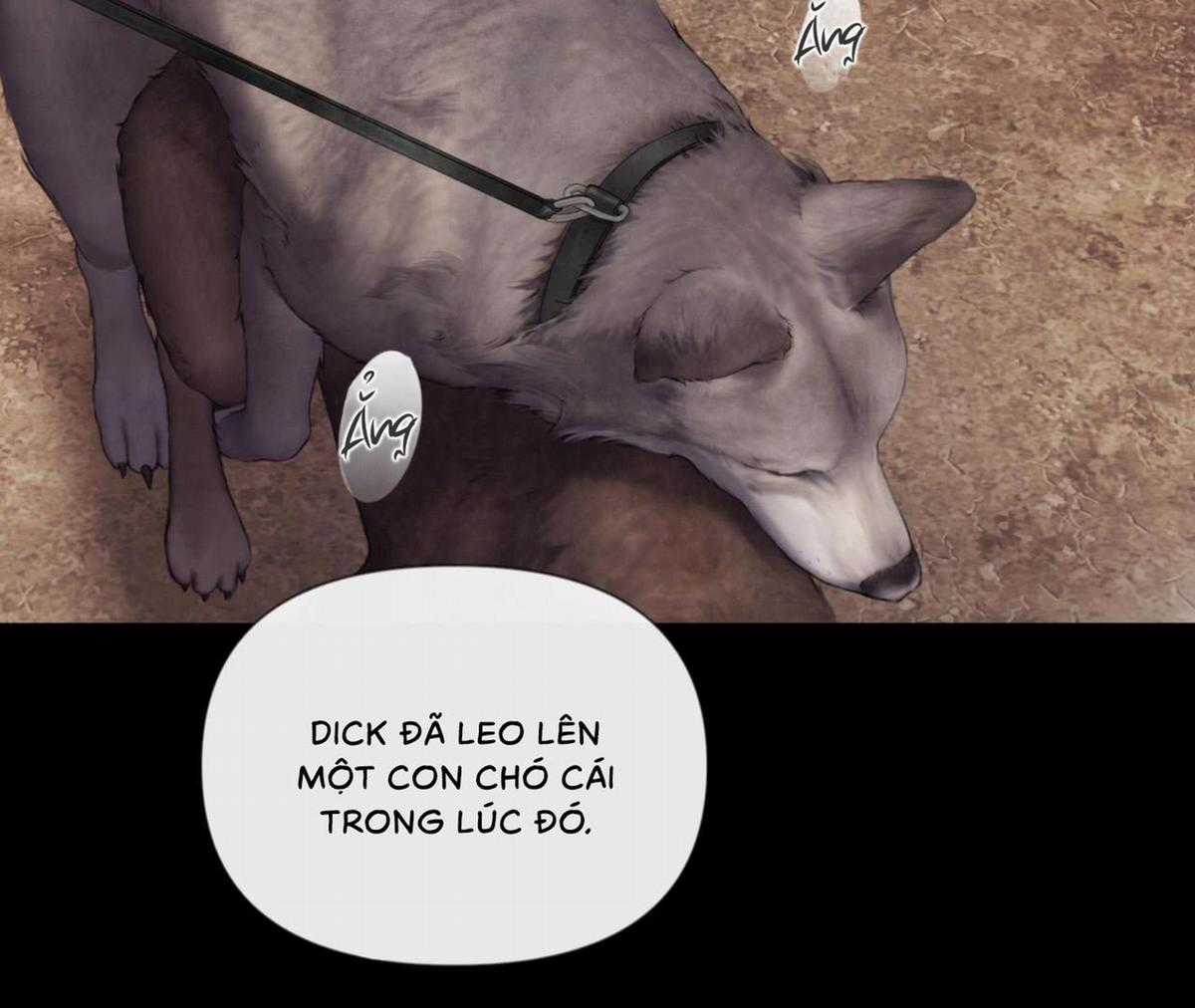 Xin Được Chỉ Giáo Chapter 8 trang 12