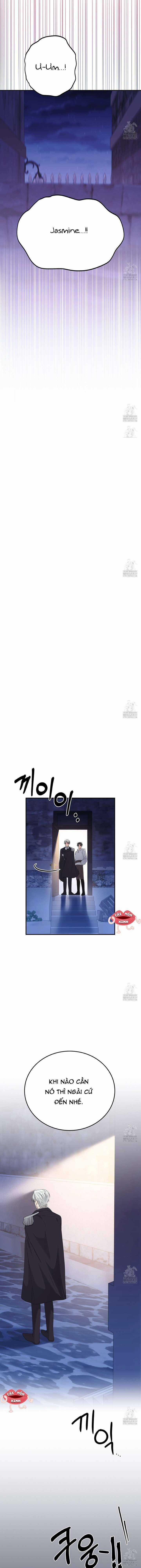 Xin Hãy Để Ý Tới Jasmine Chương 43 trang 16