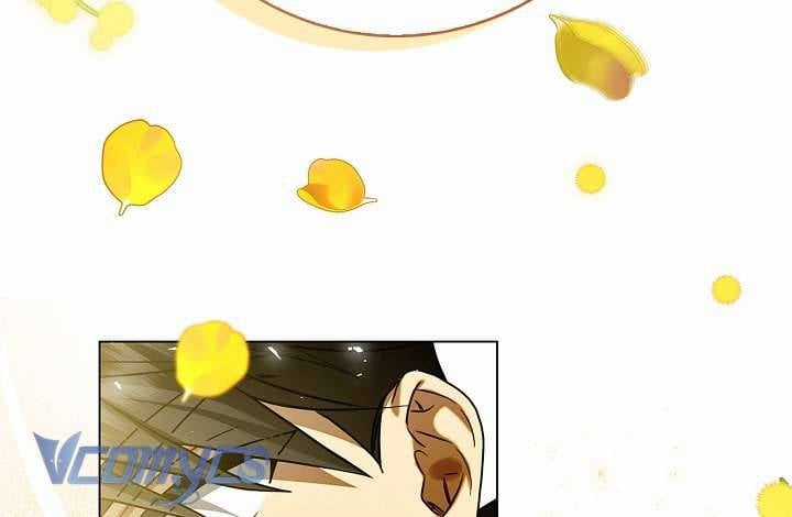 Xin Lỗi Vì Tôi Không Thể Rời Mắt Khỏi Vẻ Ngoài Của Ngài Chapter 5 trang 29