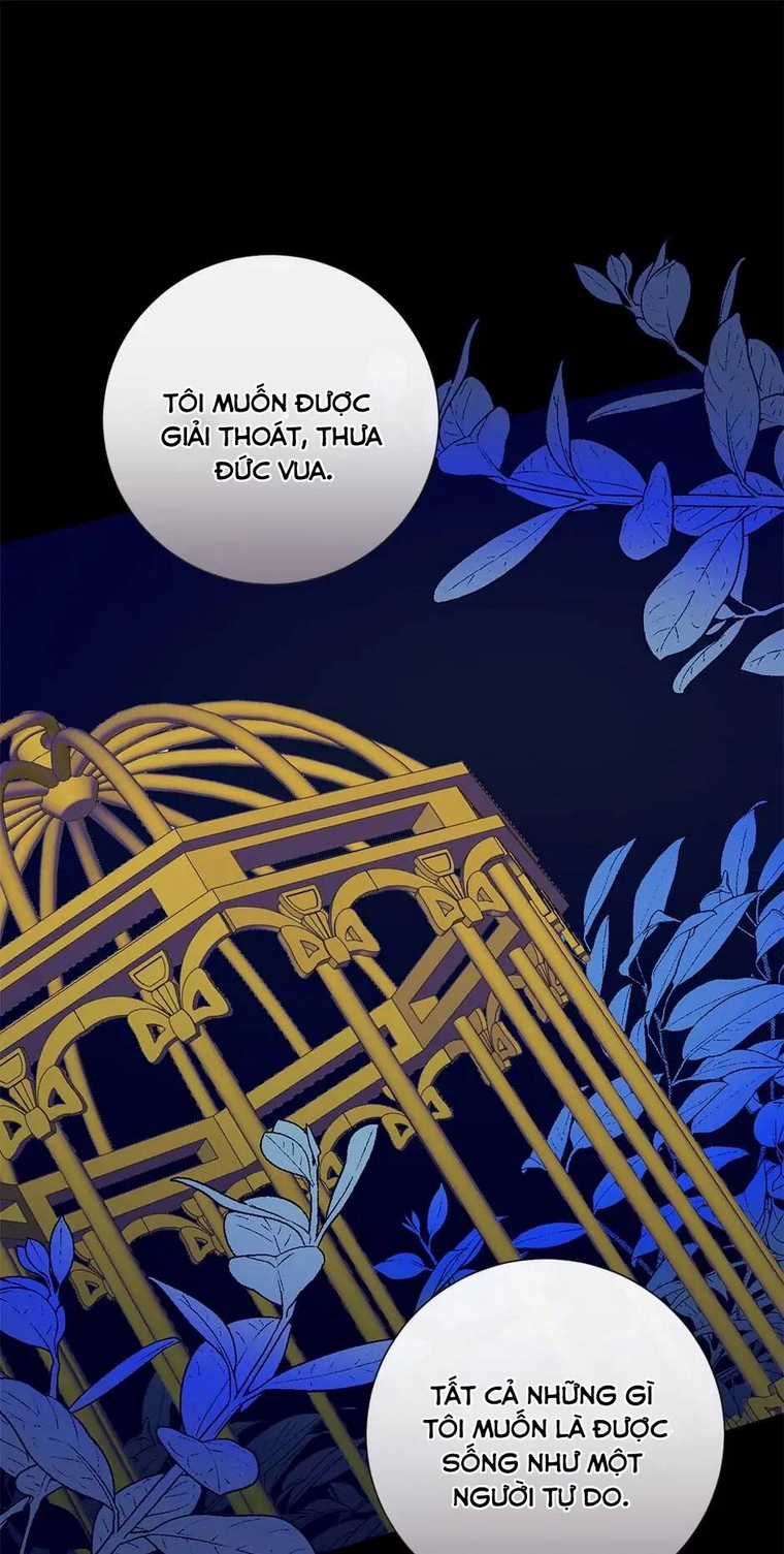 Xin Ngài Đừng Ăn Tôi. Chapter 79 trang 50