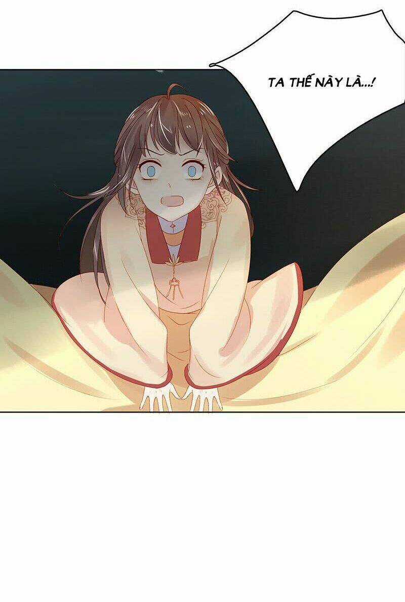 Xuân Khuê Bí Lục: Xưởng Công Thái Liêu Nhân Chapter 30 trang 13