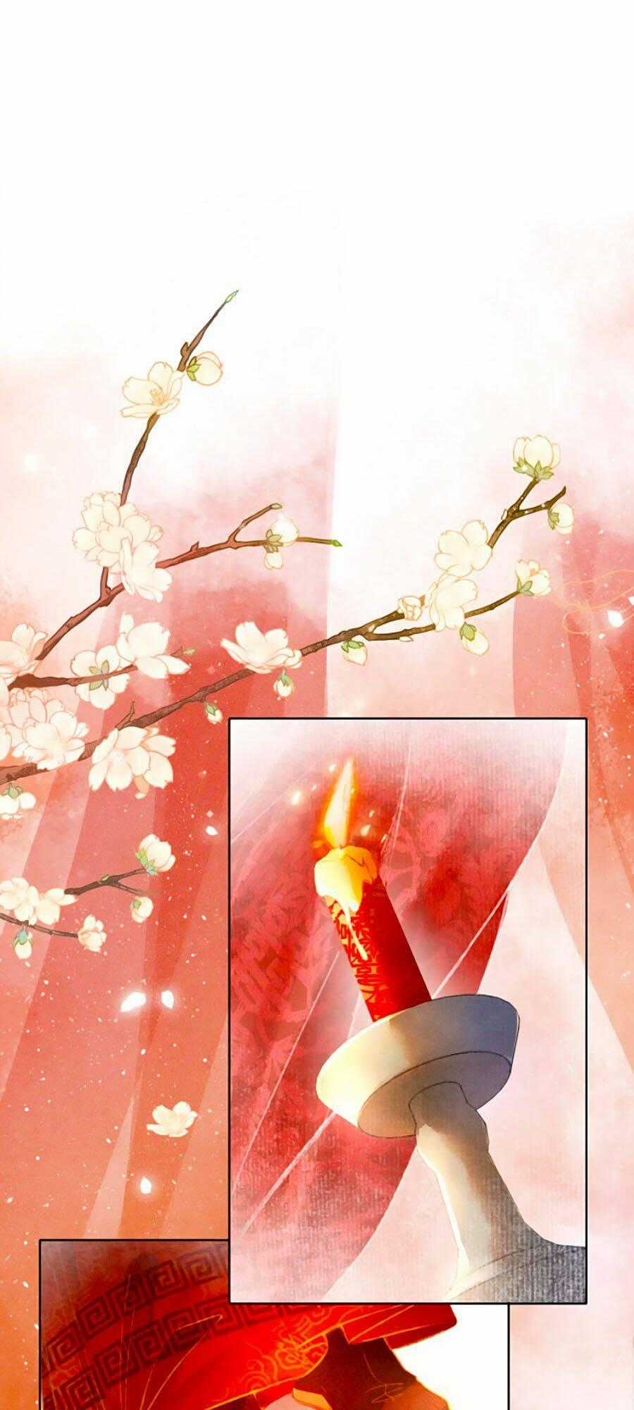 Xung Hỉ Vương Phi Chapter 1 trang 0