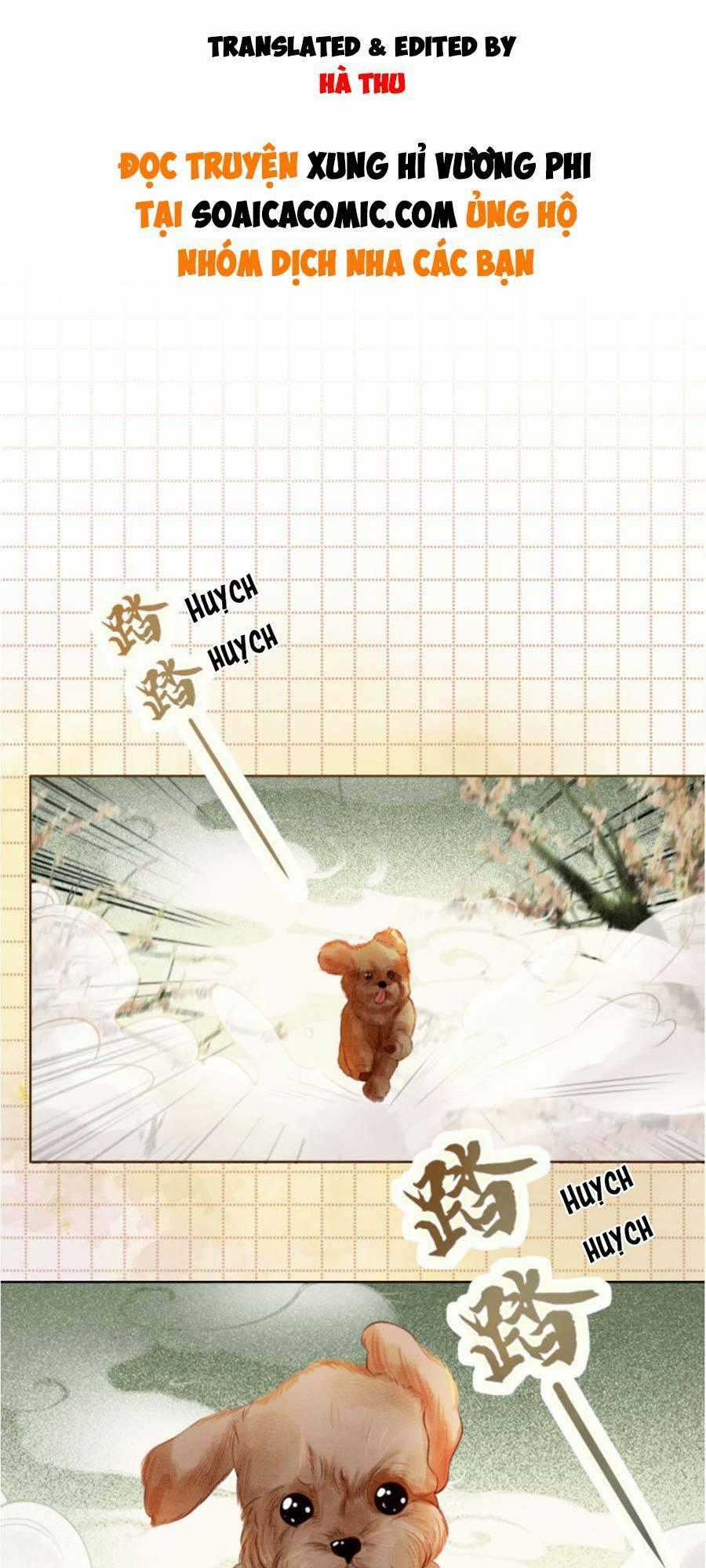 Xung Hỉ Vương Phi Chapter 35 trang 0