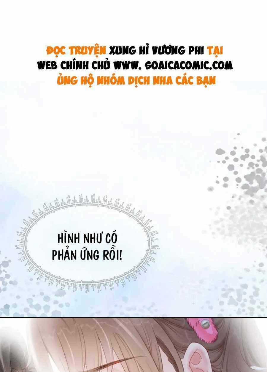 Xung Hỉ Vương Phi Chapter 97 trang 0