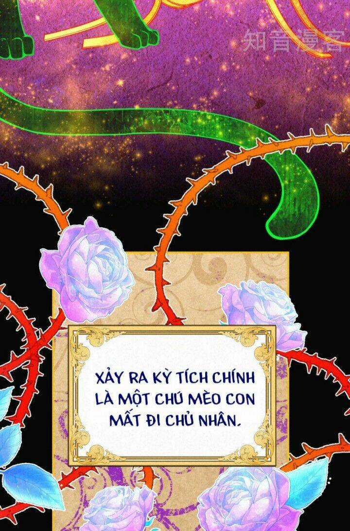 Xuyên Đến Ai Cập : Trở Thành Cô Dâu Của Vương Chapter 0 trang 14