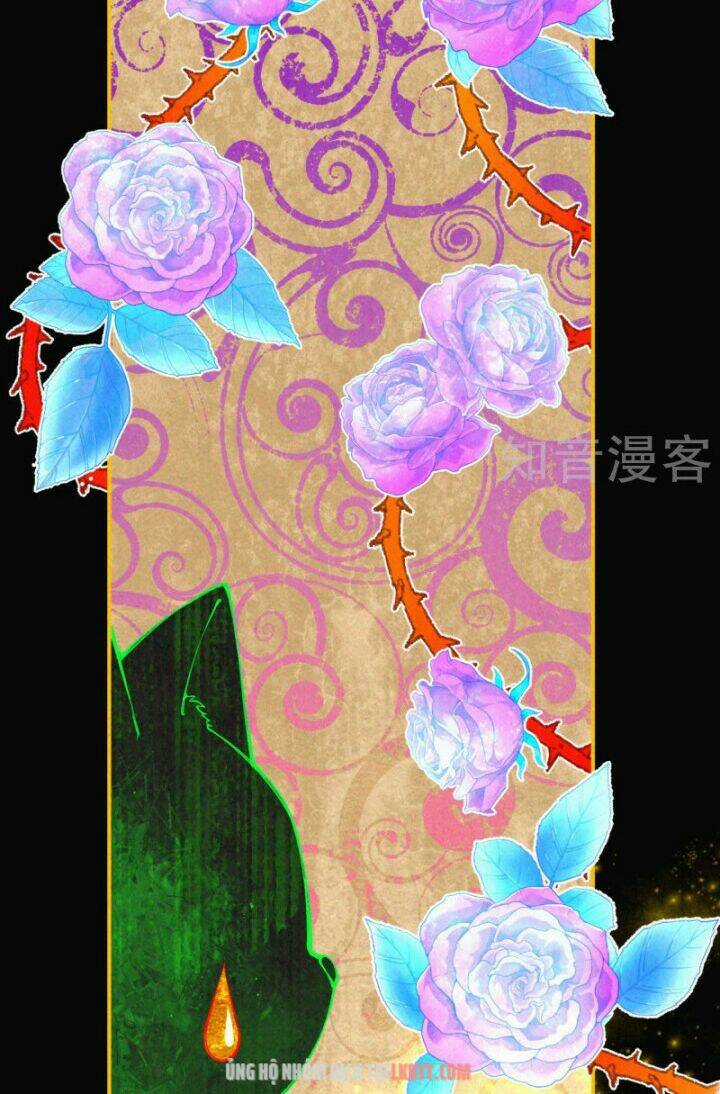 Xuyên Đến Ai Cập : Trở Thành Cô Dâu Của Vương Chapter 0 trang 15