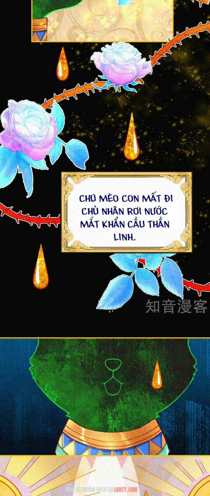 Xuyên Đến Ai Cập : Trở Thành Cô Dâu Của Vương Chapter 0 trang 16