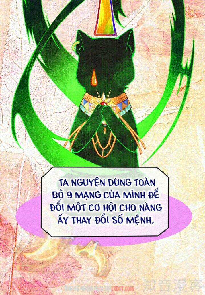 Xuyên Đến Ai Cập : Trở Thành Cô Dâu Của Vương Chapter 0 trang 18