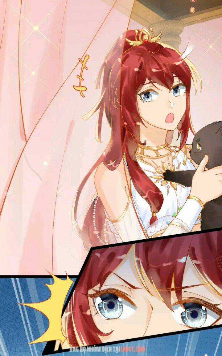 Xuyên Đến Ai Cập : Trở Thành Cô Dâu Của Vương Chapter 1 trang 27