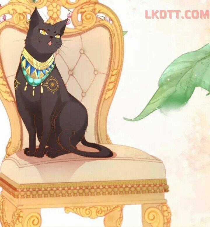 Xuyên Đến Ai Cập : Trở Thành Cô Dâu Của Vương Chapter 11 trang 27