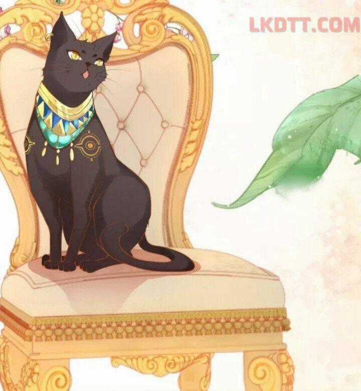 Xuyên Đến Ai Cập : Trở Thành Cô Dâu Của Vương Chapter 12 trang 32