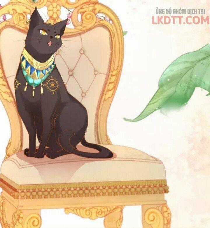 Xuyên Đến Ai Cập : Trở Thành Cô Dâu Của Vương Chapter 13 trang 32