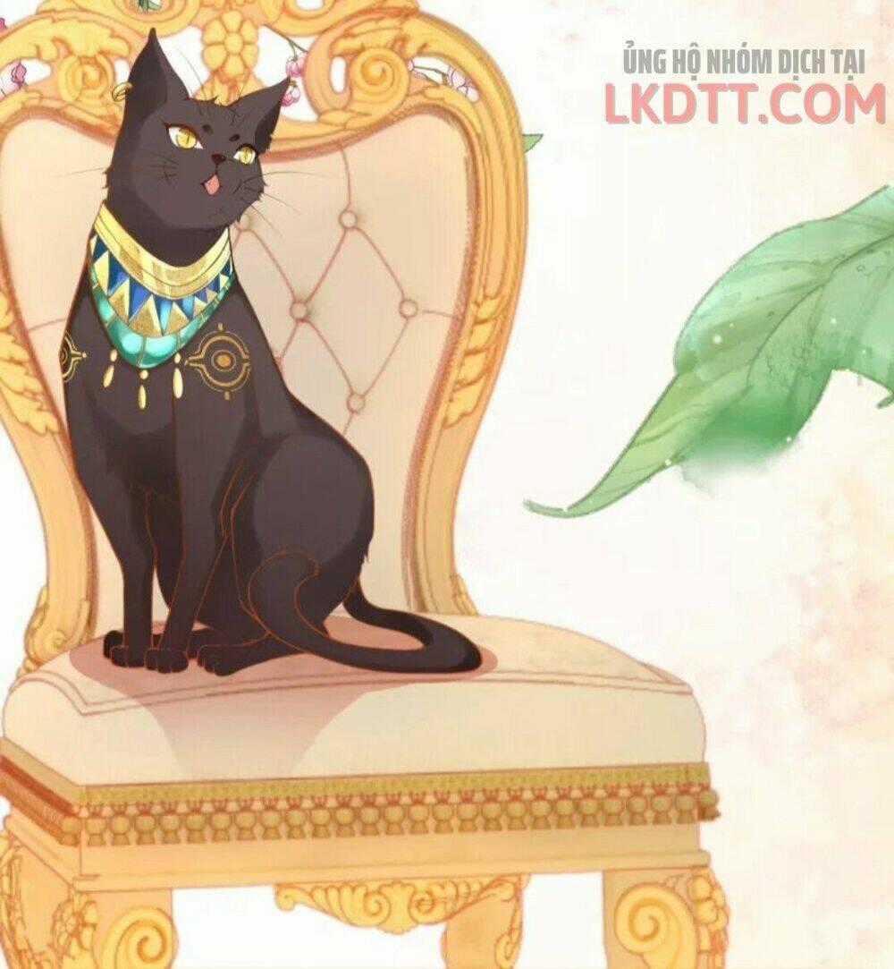 Xuyên Đến Ai Cập : Trở Thành Cô Dâu Của Vương Chapter 15 trang 38