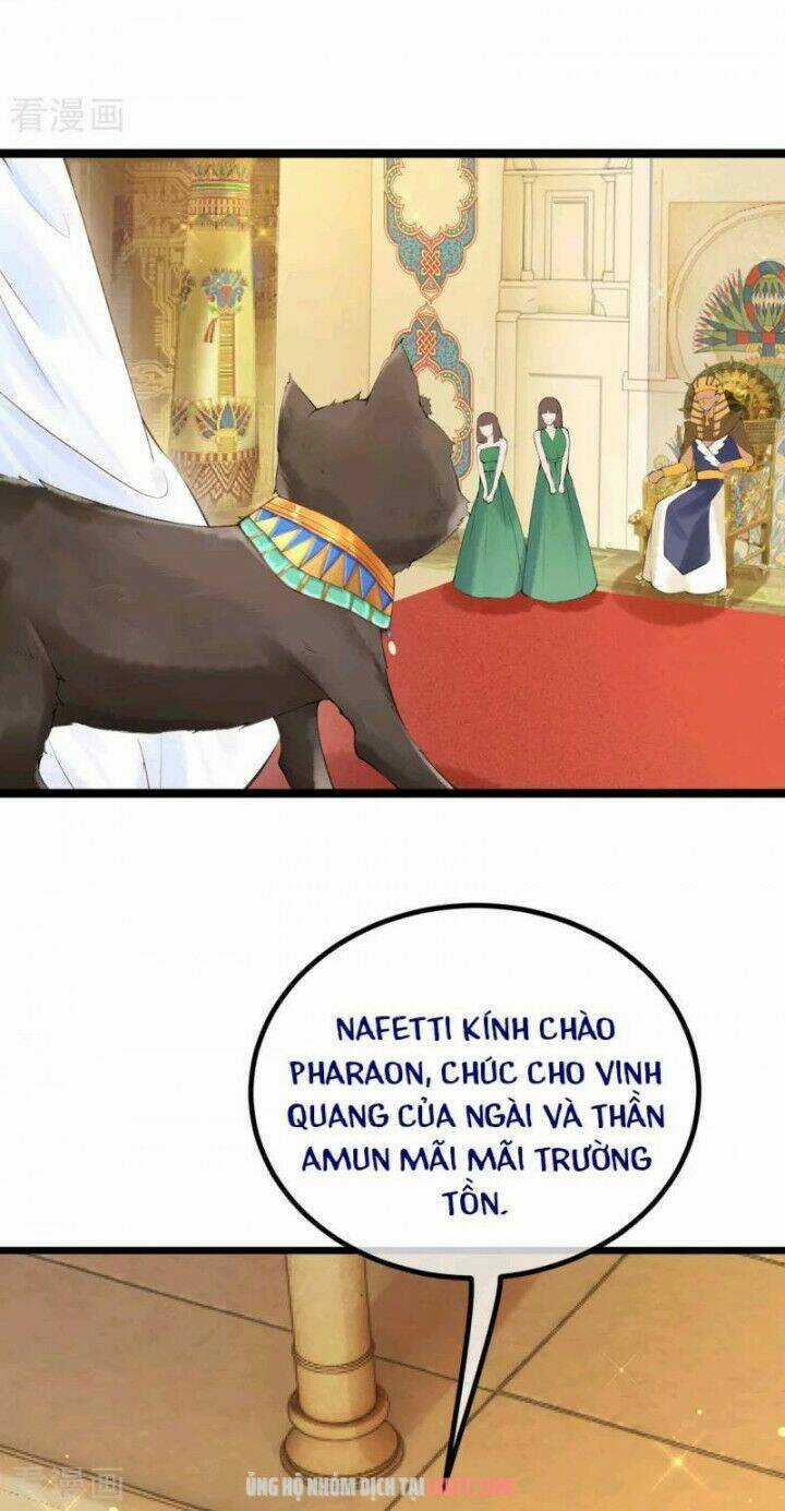 Xuyên Đến Ai Cập : Trở Thành Cô Dâu Của Vương Chapter 2 trang 20