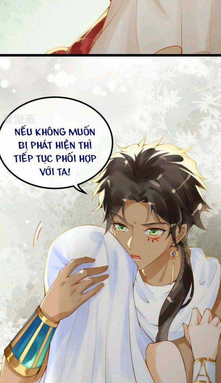 Xuyên Đến Ai Cập : Trở Thành Cô Dâu Của Vương Chapter 2 trang 3