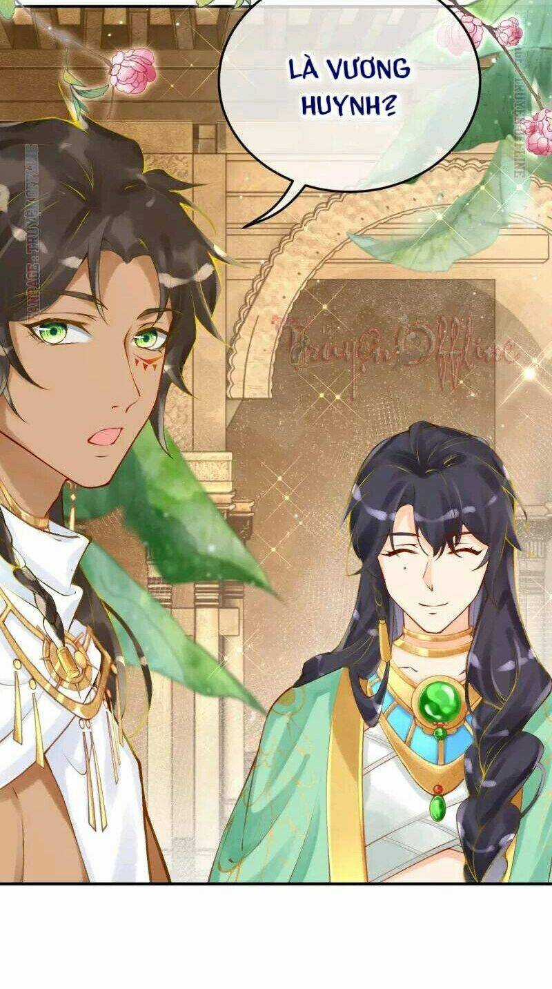 Xuyên Đến Ai Cập : Trở Thành Cô Dâu Của Vương Chapter 20 trang 7