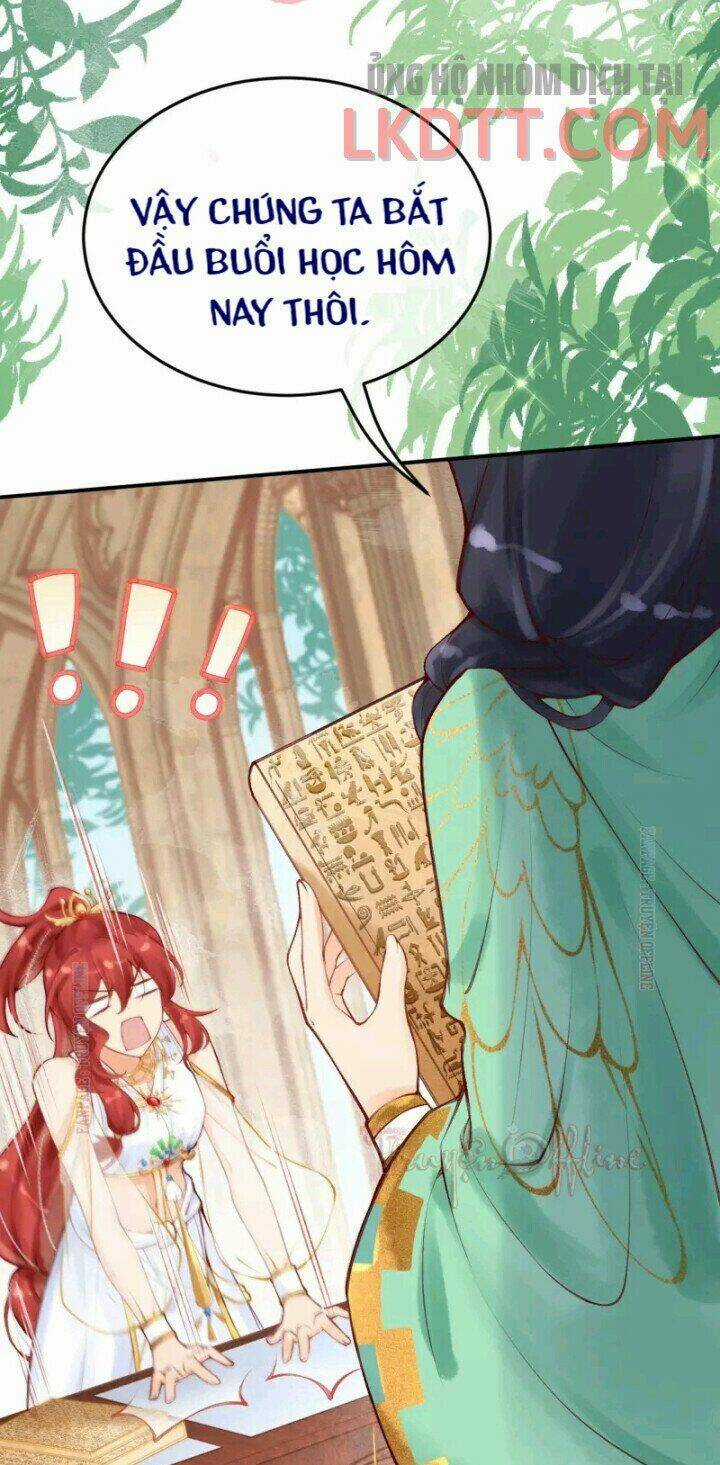 Xuyên Đến Ai Cập : Trở Thành Cô Dâu Của Vương Chapter 21 trang 26