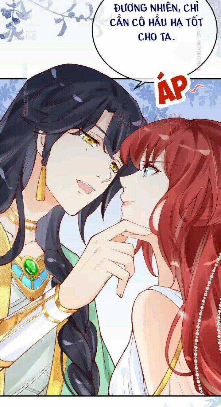 Xuyên Đến Ai Cập : Trở Thành Cô Dâu Của Vương Chapter 21 trang 3