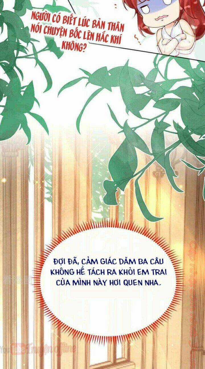 Xuyên Đến Ai Cập : Trở Thành Cô Dâu Của Vương Chapter 22 trang 4