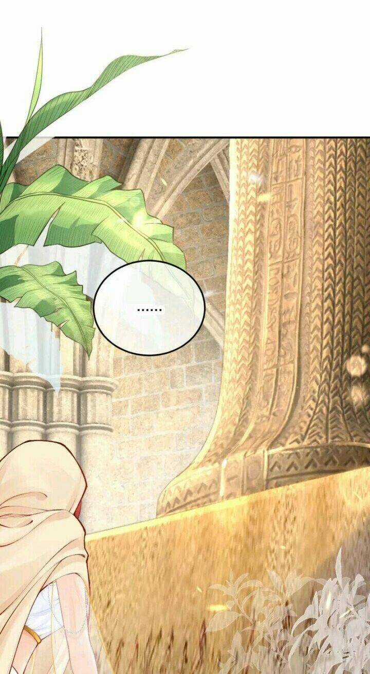 Xuyên Đến Ai Cập : Trở Thành Cô Dâu Của Vương Chapter 25 trang 13