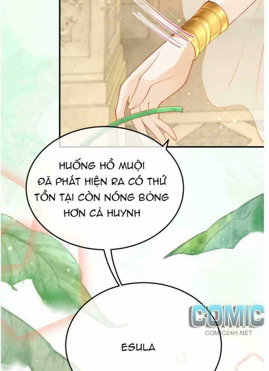 Xuyên Đến Ai Cập : Trở Thành Cô Dâu Của Vương Chapter 26 trang 13