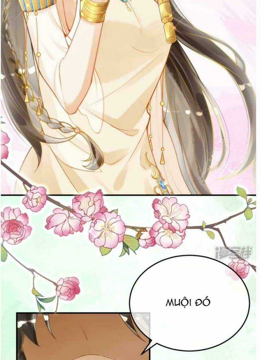 Xuyên Đến Ai Cập : Trở Thành Cô Dâu Của Vương Chapter 26 trang 8