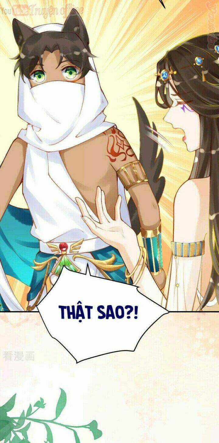 Xuyên Đến Ai Cập : Trở Thành Cô Dâu Của Vương Chapter 27 trang 13