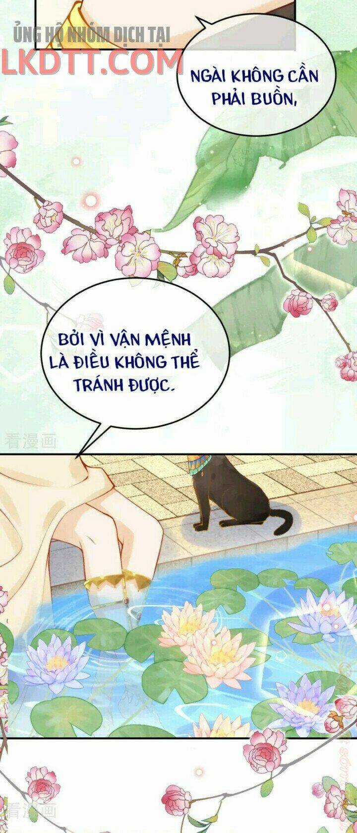 Xuyên Đến Ai Cập : Trở Thành Cô Dâu Của Vương Chapter 27 trang 22