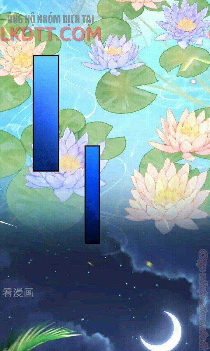 Xuyên Đến Ai Cập : Trở Thành Cô Dâu Của Vương Chapter 27 trang 24