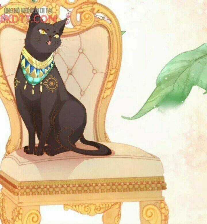 Xuyên Đến Ai Cập : Trở Thành Cô Dâu Của Vương Chapter 27 trang 31