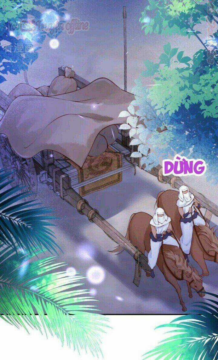 Xuyên Đến Ai Cập : Trở Thành Cô Dâu Của Vương Chapter 28 trang 18