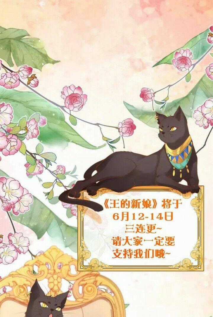 Xuyên Đến Ai Cập : Trở Thành Cô Dâu Của Vương Chapter 3 trang 39